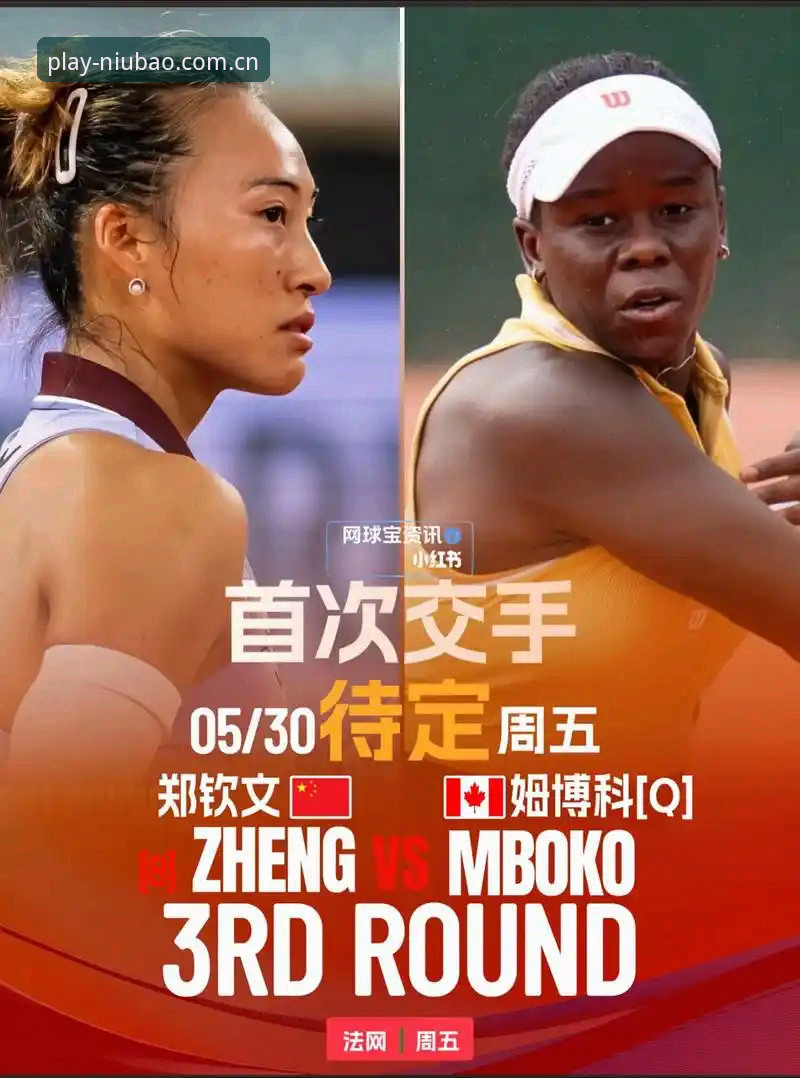 牛宝体育官方平台评测 4大看点解析2026法网女单签表:中国金花郑钦文面临430分保分压力与重生机遇
